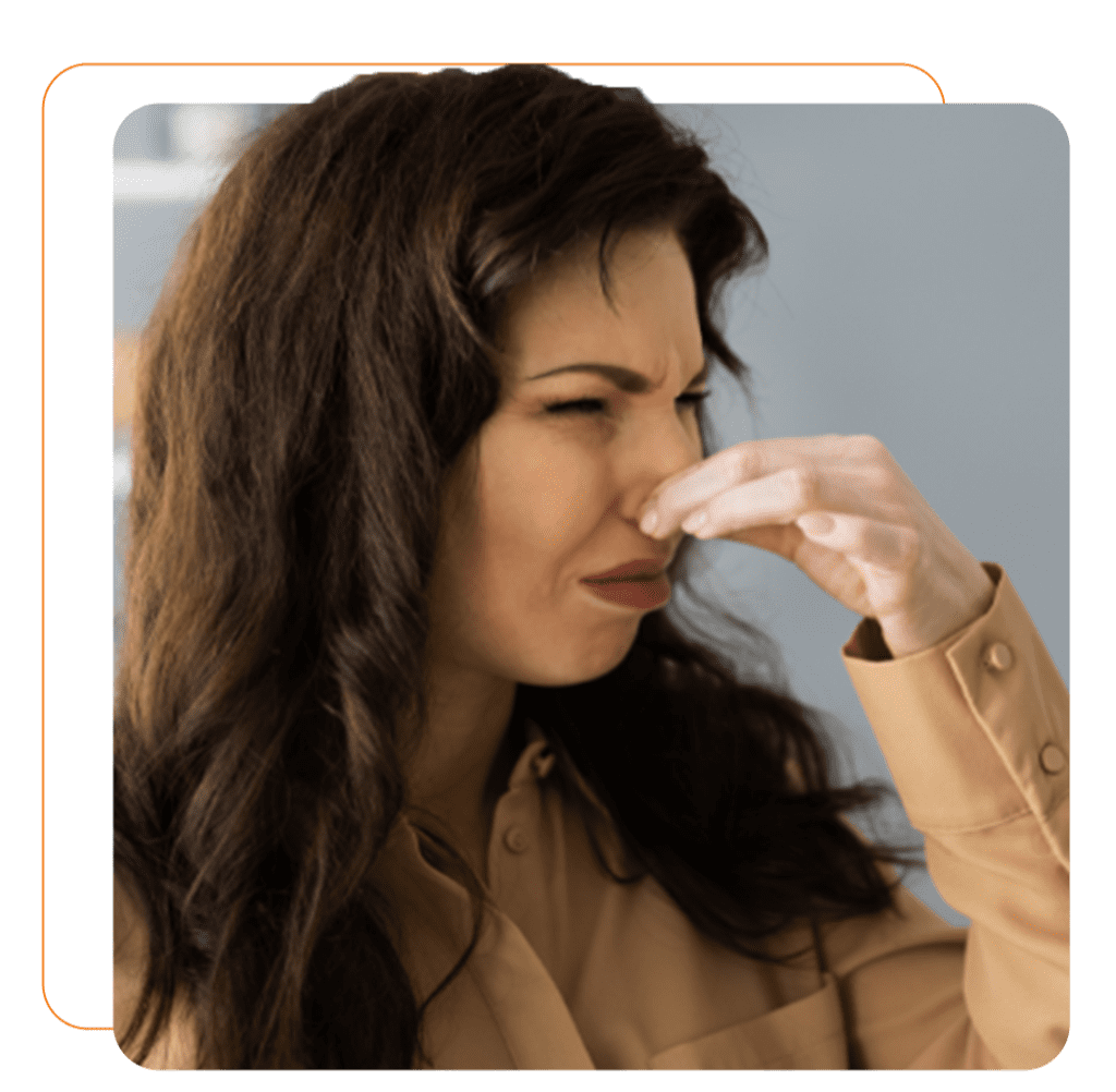 Selling Your Home With Animal Smells Get A Quick Cash Sale